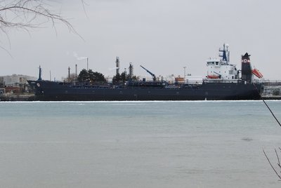 2019-02-25d Algosea.jpg