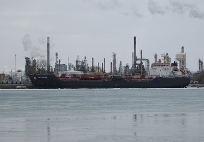 2019-02-25a Algonova.jpg