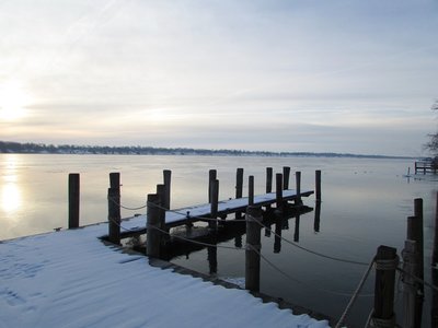 2019-03-08g River Crab.jpg