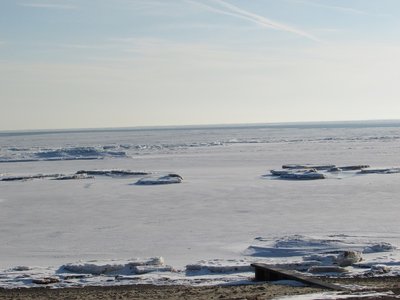 2019-03-08c Lakeside.jpg (196.53 KiB) Viewed 1755 times 2019-03-08c Lakeside.jpg