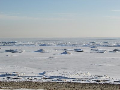 2019-03-08b Lakeside.jpg (213.34 KiB) Viewed 1758 times 2019-03-08b Lakeside.jpg