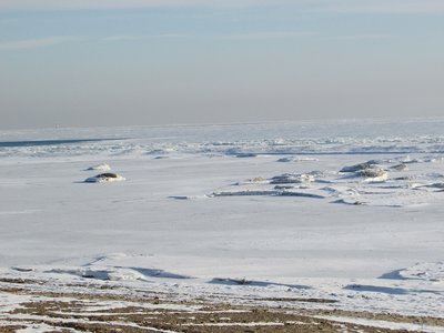 2019-03-08a Lakeside.jpg (226.05 KiB) Viewed 1755 times 2019-03-08a Lakeside.jpg