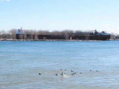 2019-03-16b Tadoussac.jpg