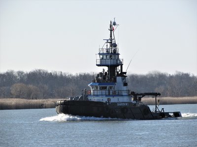 I zoomed in on her name...looked it up in KYS...and still can't determine if she's Sharon M 1 or Sharon M I. Anyway, after spending overnight above RECOR (on the Canadian side), she had a "bone in her teeth," moving up-bound to Sturgeon Bay.