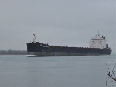 Algoma Discovery (Two Harbors) was an impressive early morning sight. Her history includes that of a saltie (foreign flag of Nassau), with the names of Daviken and Malinska.