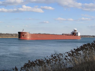 After delivering a split load of coal to the St. Clair and Monroe Power Plants, Big Paul heads back to Superior in the late day sun.