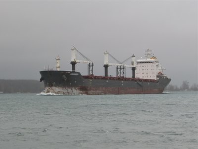Coming out of light fog, Ludogorets (Navigation Maritime Bulgare, Ltd. Varna, Bulgaria) makes her way to Thunder Bay.