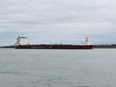 CSL Welland (Quebec) approaching the River Crab.