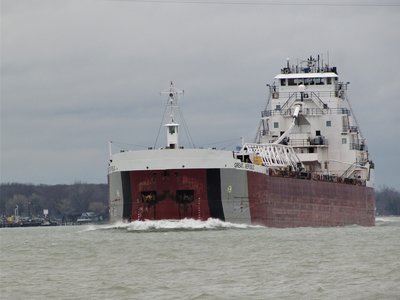 Great Republic (Stoneport) adds color to the dreary day.