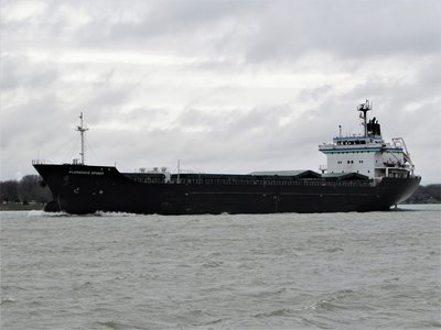 Bulk carrier Florence Spirit (Sarnia) was built in Japan. Her name from 2004-2016 was Arlkow Willow.