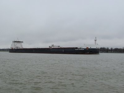 Algoma Harvester (Baie Comeau) ends my day at the river.
