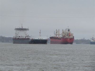 Freighter Algoma Harvester and saltie Federal Dart meet, with tanker Bro Agnes in the background.