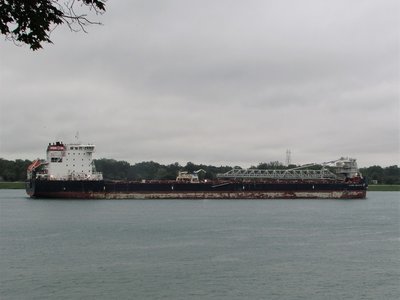 Algoma Innovator (no current destination) down-bound from the Sarnia Fuel Dock.