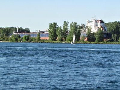 Algoma Niagara, resting after her recent incident on the Detroit River, at Windsor.
