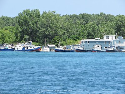 The Purdy fleet at home.
