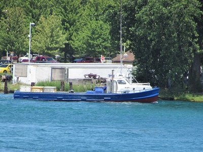 Bringing fresh fish from Lake Huron to a restaurant near you.