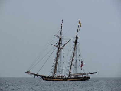 Pride of Baltimore (United States) is a frequent participant in the Tall Ships festival.