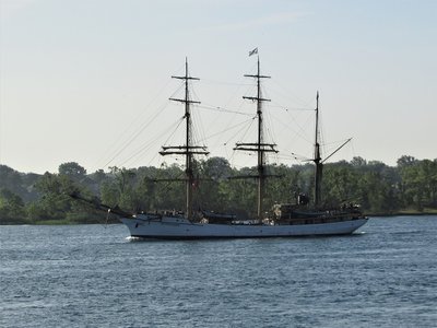 Picton Castle (Great Britain) up-bound at Stag Island.