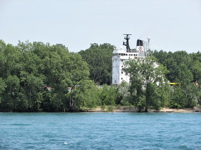 Tecumseh, at the Sarnia slip, appears to be peering over the tree-tops to watch passing river traffic. Before the day ended, she was down-bound to Toledo.