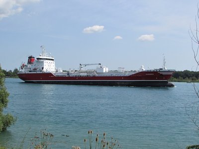 Algonorth (Montreal) is such an eye-catcher with her red and white paint scheme. Sure hope Algoma never covers it with the traditional Algo Blue.