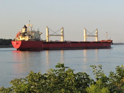 Federal Dee (Montreal) reflected in the St. Clair River on a cool, calm, early August morning.
