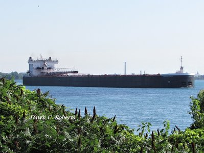 American Century headed to the St. Clair Power Plant.
