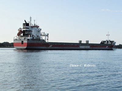 Saltie Edenborg down-bound to at Marysville.