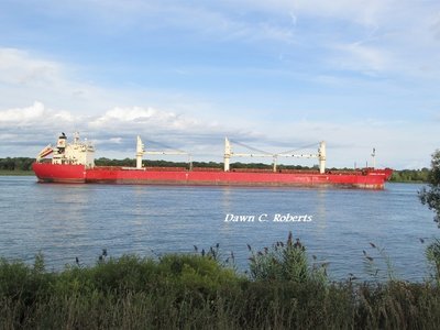 Federal Nakagawa (Montreal) reflects the late afternoon sun.