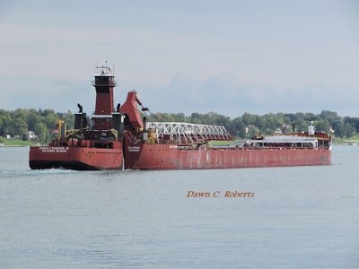 Thompson &amp; Thompson (Toledo) down-bound at Stag Island.
