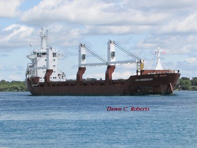 It was at least five years ago that I last saw the saltie Fortunagracht (Montreal). She had already passed all my local vantage points, so drove to  at St. Clair to photograph her.