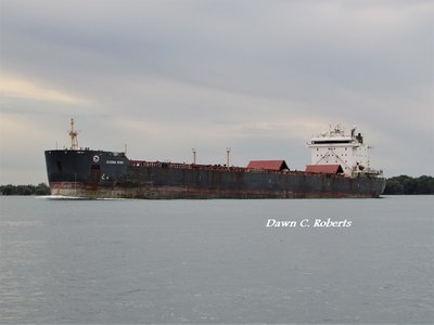 First ship in daylight hours was Algoma Spirit, pushing on to Thunder Bay.