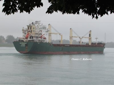 Saltie Barnacle (Montreal) entering the big curve above Marysville.