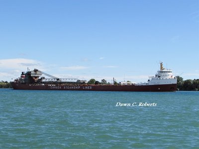 Lovely Lady Frontenac (Windsor) brightening the day even more!