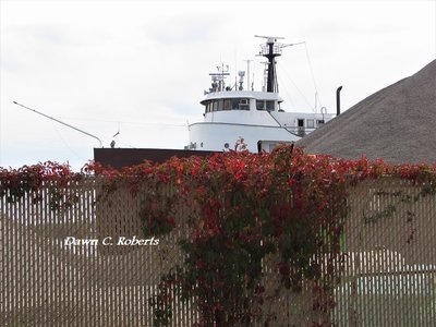 Jackson's bow and pilot house peeking out from a rock pile. Love the colorful touch of fall foliage on the fence.
