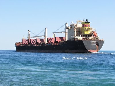 Saltie Vitosha (Sault Ste. Marie) entering Lake Huron.