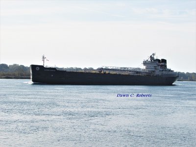 Algoma Compass (Meldrum Bay)