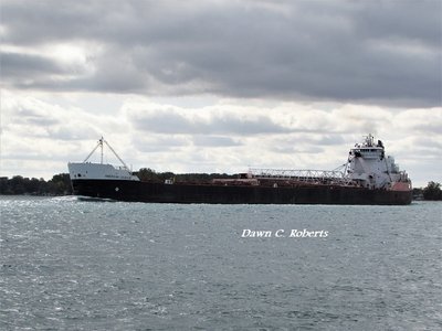 American Courage (Marysville) passes the boat launch.