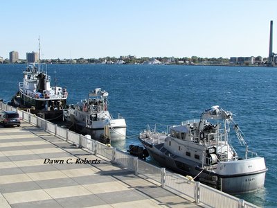 Before I even got on my way, I spotted Tug W. C. Gaynor, with Fairport and Erie in tow, at the Bean Dock.