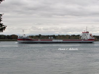 Saltie Volgaborg (Chicago) approaching Marysville.