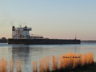 Walter J. McCarthy (St. Clair Power Plant). I saw the AIS position, which made it look like I could photograph  her, Clarke, and Federal Caribou by staying in one place. Not so! They were all moving faster than I anticipated, so each was photographed at a different location.