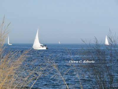 A pretty sight with white sails against the stunning blue of the lake water!
