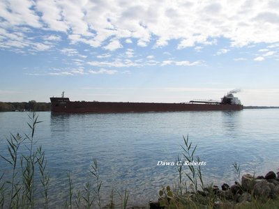 Mesabi Miner (Superior) making her way up the St. Clair River, at Stag Island.