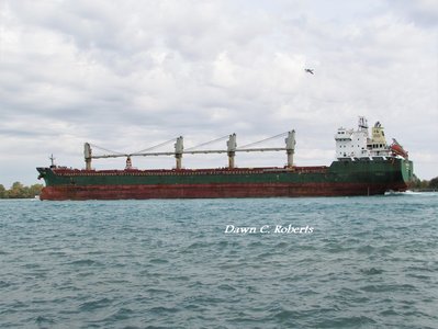 Saltie Whistler (Superior) may be used to  winds like these. She'll experience plenty before she gets there!