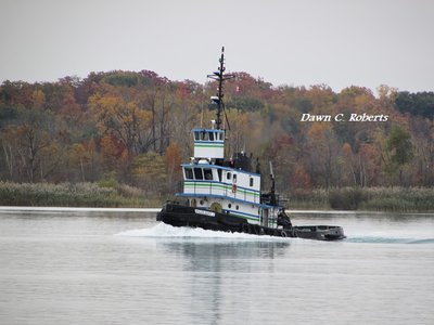 Tug Vigilant I (Sarnia) churning up the water as she passes.