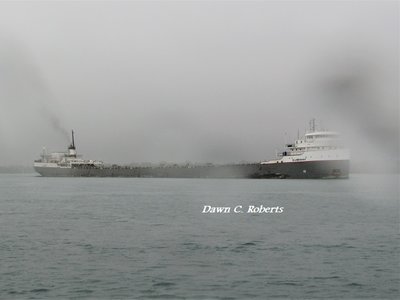 Ojibway (Sorel) in a cold, pelting rain, at St. Clair. A few wind-blown drops landed on my camera lens.