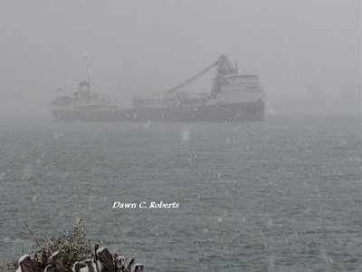 Classic freighter headed to Windsor.