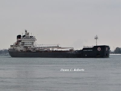 Algoma Compass (Sombra, Ontario, Canada, across from Marine City, MI). She's been really busy recently.