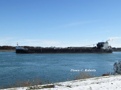 Algoma Sault (Sault Ste. Marie) up-bound at Stag Island.