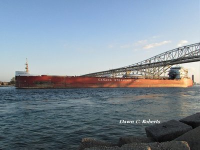 Whitefish Bay (Thunder Bay) drew a few Boatnerds to watch her come up the St. Clair River and out onto Lake Huron.