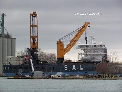Saltie Palmerton (registered in Antigua Barbuda) at the Sarnia Dock.